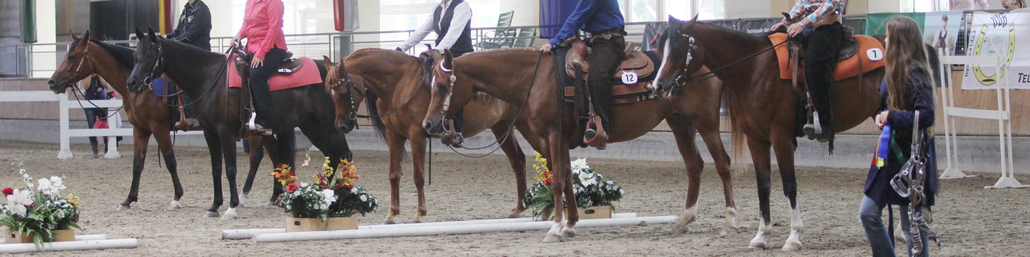 Westernreitklassen 2013
